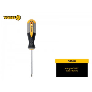 Wkrętak TORX T30x100 [mm]...